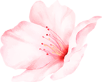 flo001