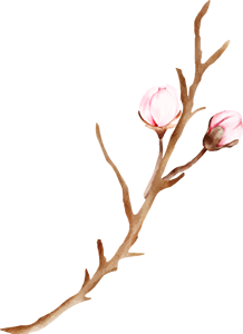flo01
