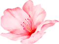 flo02