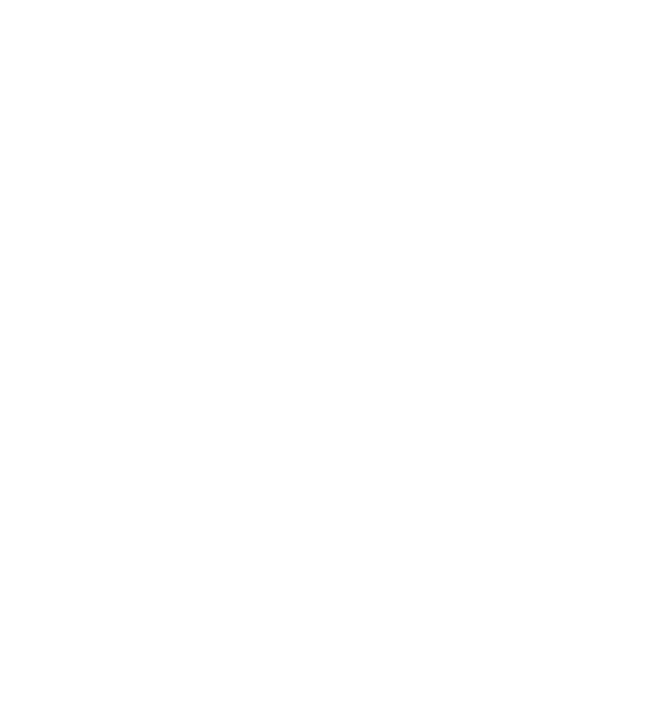 vestor1