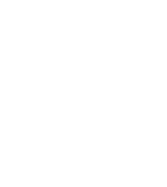 vestor2